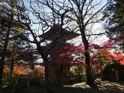道場寺のその他建物