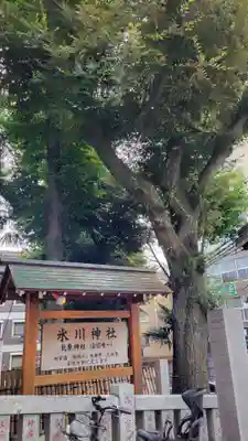 高円寺氷川神社の歴史