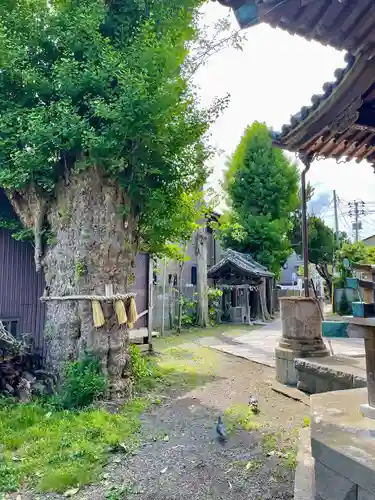 蛭子神社の庭園