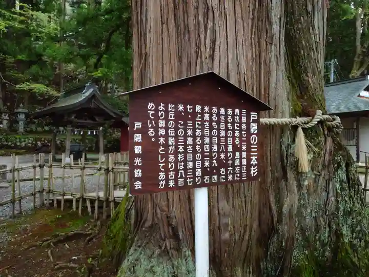 戸隠神社中社(長野県)