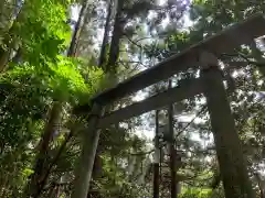 琴平神社の鳥居