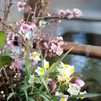 高司神社〜むすびの神の鎮まる社〜(福島県)