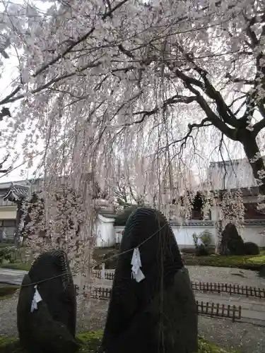 本満寺（本願満足寺）のその他建物