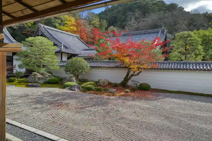 南禅寺の庭園