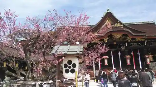 北野天満宮の自然