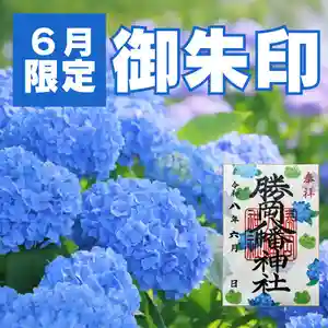 【2026年・全国版】6月の限定御朱印41選!紫陽花や花菖蒲など梅雨の季節を感じる御朱印を紹介