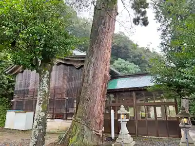 宇波西神社の本殿・本堂