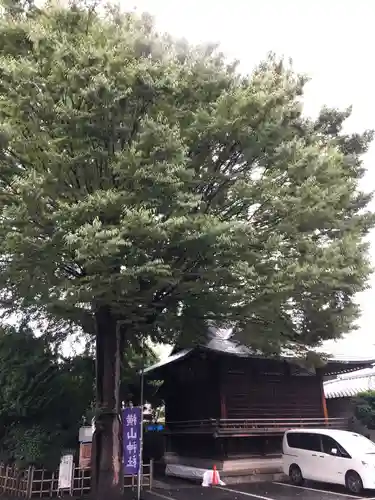 八幡八雲神社の自然