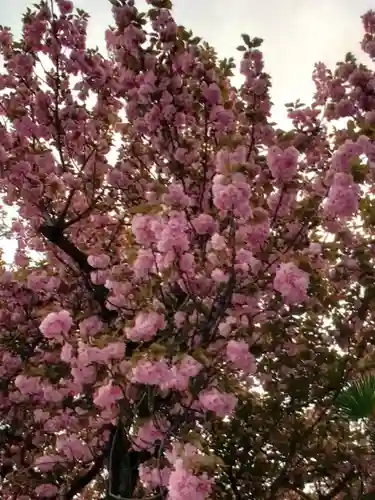 荘厳寺(東京都)