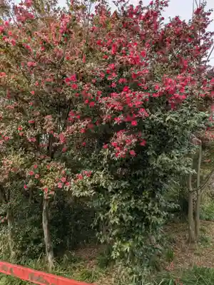 金丸稲荷大明神(岐阜県)
