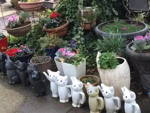 今戸神社の狛犬