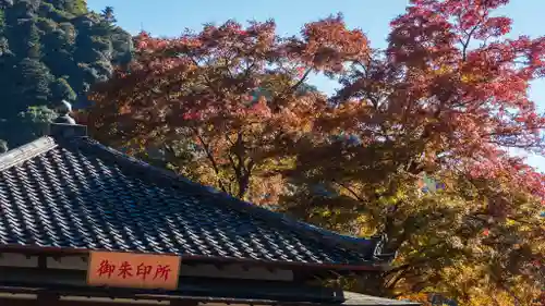 長谷寺(奈良県)