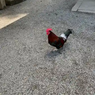 石上神宮(奈良県)