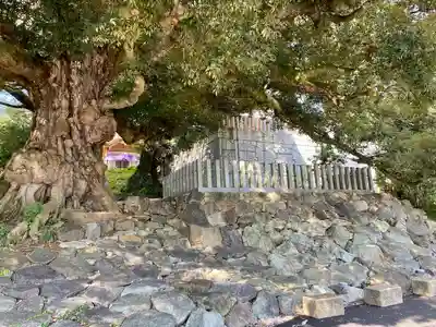 筑波山大御堂(茨城県)