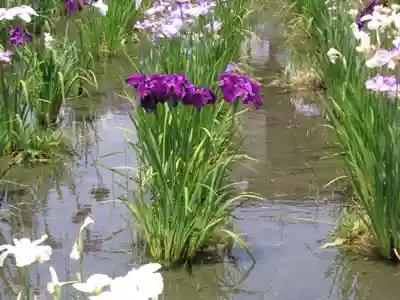 護国寺(山口県)