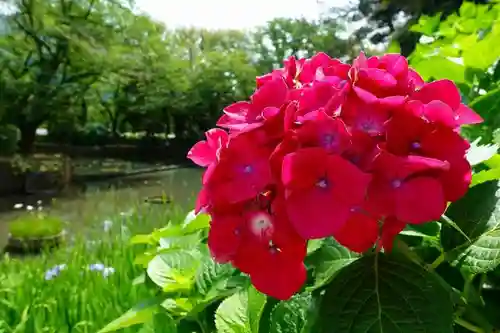 出雲大社の庭園