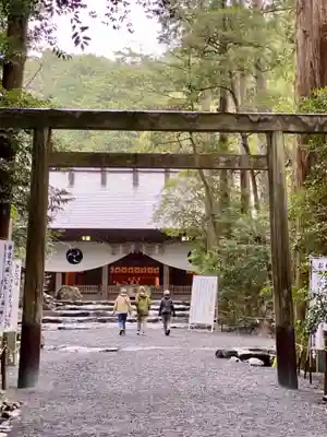 椿大神社の鳥居