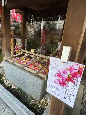 東京大神宮(東京都)