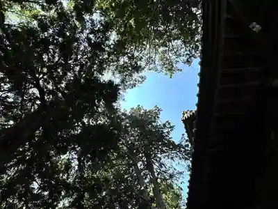 岩崎神社(長野県)