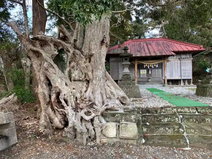 春日神社の自然