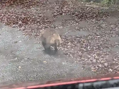 玉置神社(奈良県)