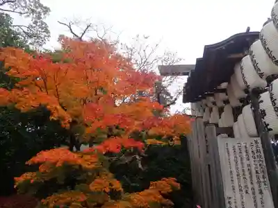 伊勢山皇大神宮(神奈川県)