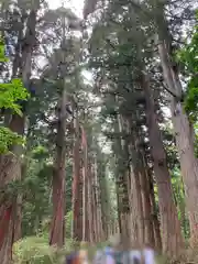 戸隠神社奥社(長野県)