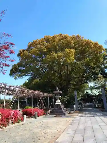 水天宮(福岡県)