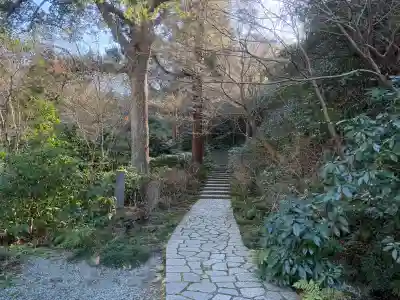 瑞泉寺の{uncategorized: "未分類", other: "その他", undefined: "問題あり", building: "その他建物", grave: "お墓", sacred_gate: "鳥居", guardian: "狛犬", statue: "像", buddha: "仏像", history: "歴史", nature: "自然", garden: "庭園", animal: "動物", pagoda: "塔", temizu: "手水舎", mountain_gate: "山門・神門", sanctuary: "本殿・本堂", subordinate: "末社・摂社", art: "芸術", scenery: "景色", jizo: "地蔵", ema: "絵馬", goshuin: "御朱印", omikuji: "おみくじ", items: "授与品その他", amulet: "お守り", goshuincho: "御朱印帳", eats: "食事", festival: "お祭り", votive_dance: "神楽", shichigosan: "七五三参", wedding: "結婚式", experience: "体験その他", initially: "初詣", around: "周辺", anti_infection: "感染症対策"}