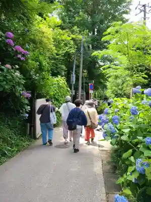 明月院(神奈川県)