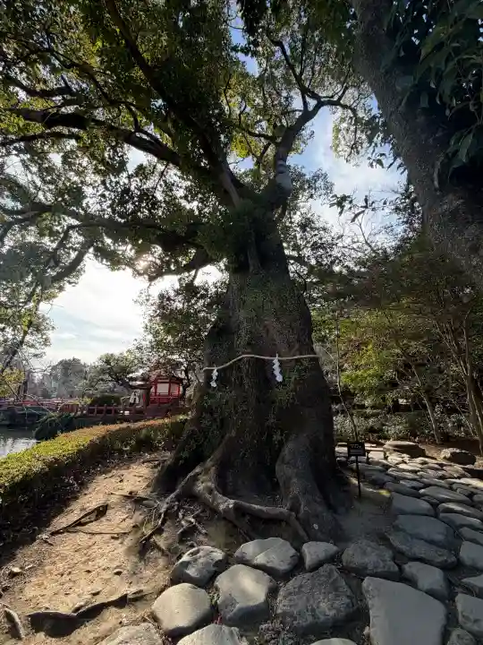 三嶋大社の{uncategorized: "未分類", other: "その他", undefined: "問題あり", building: "その他建物", grave: "お墓", sacred_gate: "鳥居", guardian: "狛犬", statue: "像", buddha: "仏像", history: "歴史", nature: "自然", garden: "庭園", animal: "動物", pagoda: "塔", temizu: "手水舎", mountain_gate: "山門・神門", sanctuary: "本殿・本堂", subordinate: "末社・摂社", art: "芸術", scenery: "景色", jizo: "地蔵", ema: "絵馬", goshuin: "御朱印", omikuji: "おみくじ", items: "授与品その他", amulet: "お守り", goshuincho: "御朱印帳", eats: "食事", festival: "お祭り", votive_dance: "神楽", shichigosan: "七五三参", wedding: "結婚式", experience: "体験その他", initially: "初詣", around: "周辺", anti_infection: "感染症対策"}