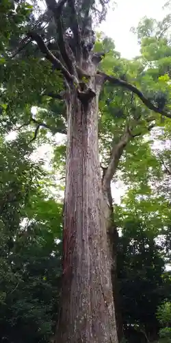 葛川息障明王院の自然