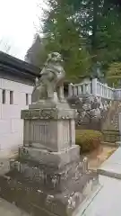 櫻山八幡宮の狛犬