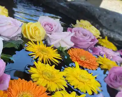 津島神社の手水舎