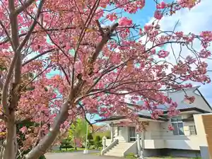 極楽山 浄土寺(北海道)(2025年05月12日(月) 23時03分35秒投稿)