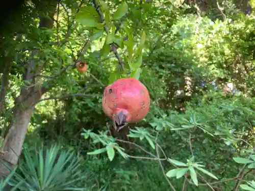 大船観音寺(神奈川県)