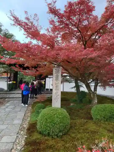 圓光寺(京都府)
