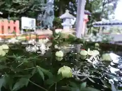 立志神社の手水