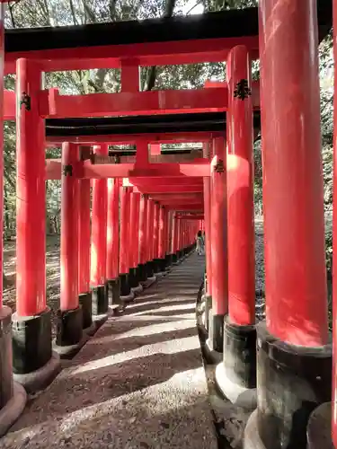 伏見稲荷大社(京都府)