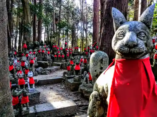 豊川閣　妙厳寺の狛犬