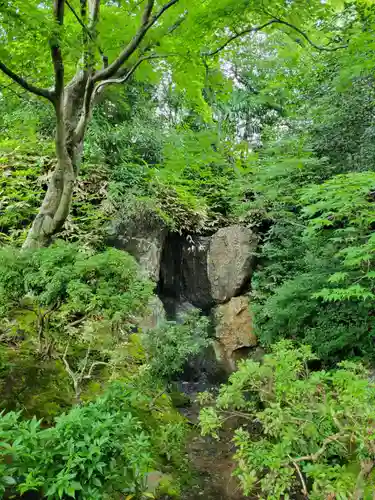 法金剛院の庭園