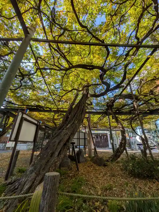 國領神社(東京都)