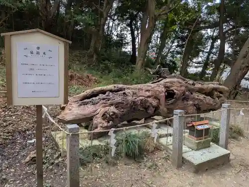 泉神社(茨城県)