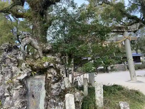 吉香神社の{uncategorized: "未分類", other: "その他", undefined: "問題あり", building: "その他建物", grave: "お墓", sacred_gate: "鳥居", guardian: "狛犬", statue: "像", buddha: "仏像", history: "歴史", nature: "自然", garden: "庭園", animal: "動物", pagoda: "塔", temizu: "手水舎", mountain_gate: "山門・神門", sanctuary: "本殿・本堂", subordinate: "末社・摂社", art: "芸術", scenery: "景色", jizo: "地蔵", ema: "絵馬", goshuin: "御朱印", omikuji: "おみくじ", items: "授与品その他", amulet: "お守り", goshuincho: "御朱印帳", eats: "食事", festival: "お祭り", votive_dance: "神楽", shichigosan: "七五三参", wedding: "結婚式", experience: "体験その他", initially: "初詣", around: "周辺", anti_infection: "感染症対策"}