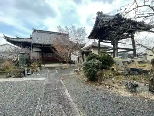 養専寺の{uncategorized: "未分類", other: "その他", undefined: "問題あり", building: "その他建物", grave: "お墓", sacred_gate: "鳥居", guardian: "狛犬", statue: "像", buddha: "仏像", history: "歴史", nature: "自然", garden: "庭園", animal: "動物", pagoda: "塔", temizu: "手水舎", mountain_gate: "山門・神門", sanctuary: "本殿・本堂", subordinate: "末社・摂社", art: "芸術", scenery: "景色", jizo: "地蔵", ema: "絵馬", goshuin: "御朱印", omikuji: "おみくじ", items: "授与品その他", amulet: "お守り", goshuincho: "御朱印帳", eats: "食事", festival: "お祭り", votive_dance: "神楽", shichigosan: "七五三参", wedding: "結婚式", experience: "体験その他", initially: "初詣", around: "周辺", anti_infection: "感染症対策"}
