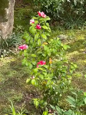 源光庵(京都府)