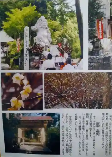 薬師寺(宮城県)