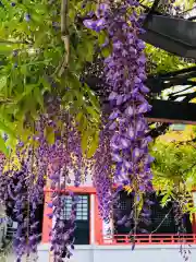 日枝神社の庭園