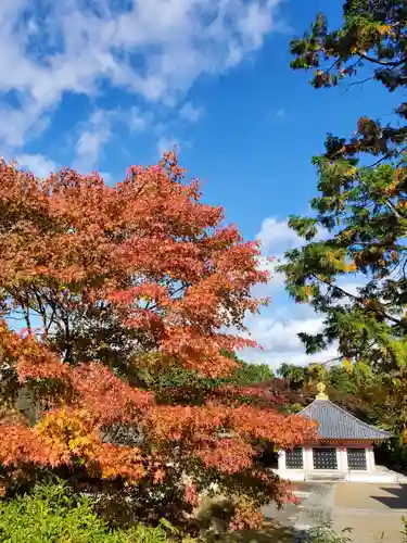 願成寺(福島県)
