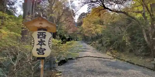 日吉大社(滋賀県)